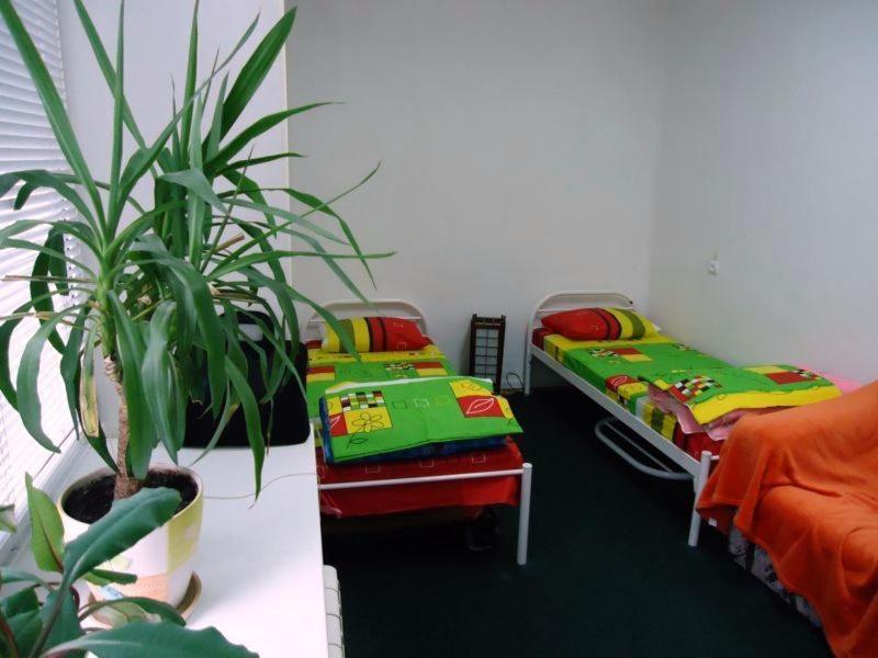 Hostel Kreshatik Kiev Chambre photo